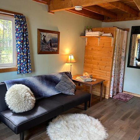 Talkeetna Sweetheart Cabin Villa Eksteriør billede